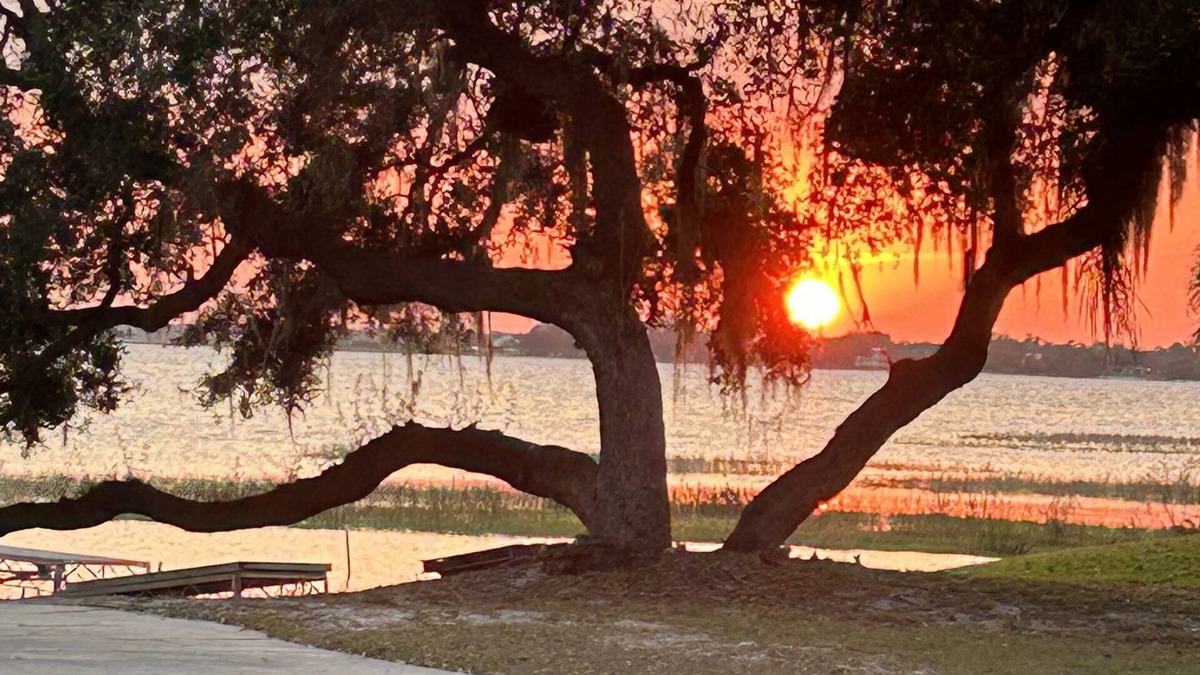 Babson Park Cottage | Lakeview Cottage Escape. Close to BOK Tower Gardens, Legoland and Disney