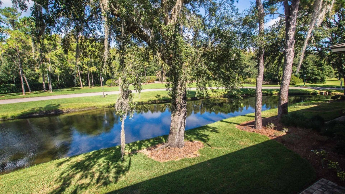 Wesley Chapel Condo | Lakeview Oasis – Cozy 1BR Condo w/Sunset Views, Full Kitchen & Patio – Perfect for Relaxation!