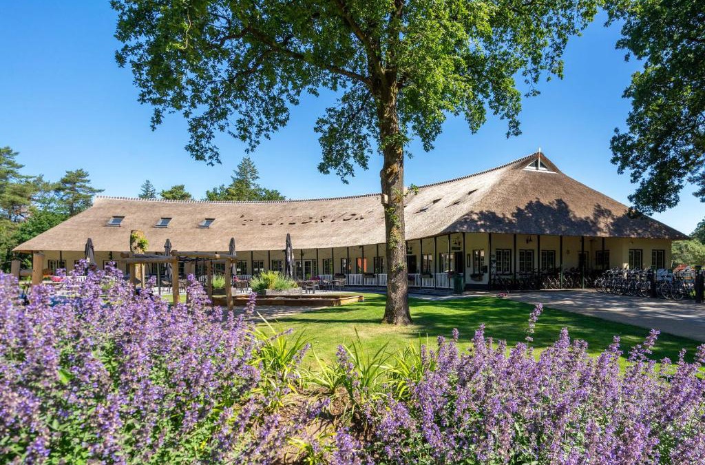 Diever Resort | Landgoed 't Wildryck