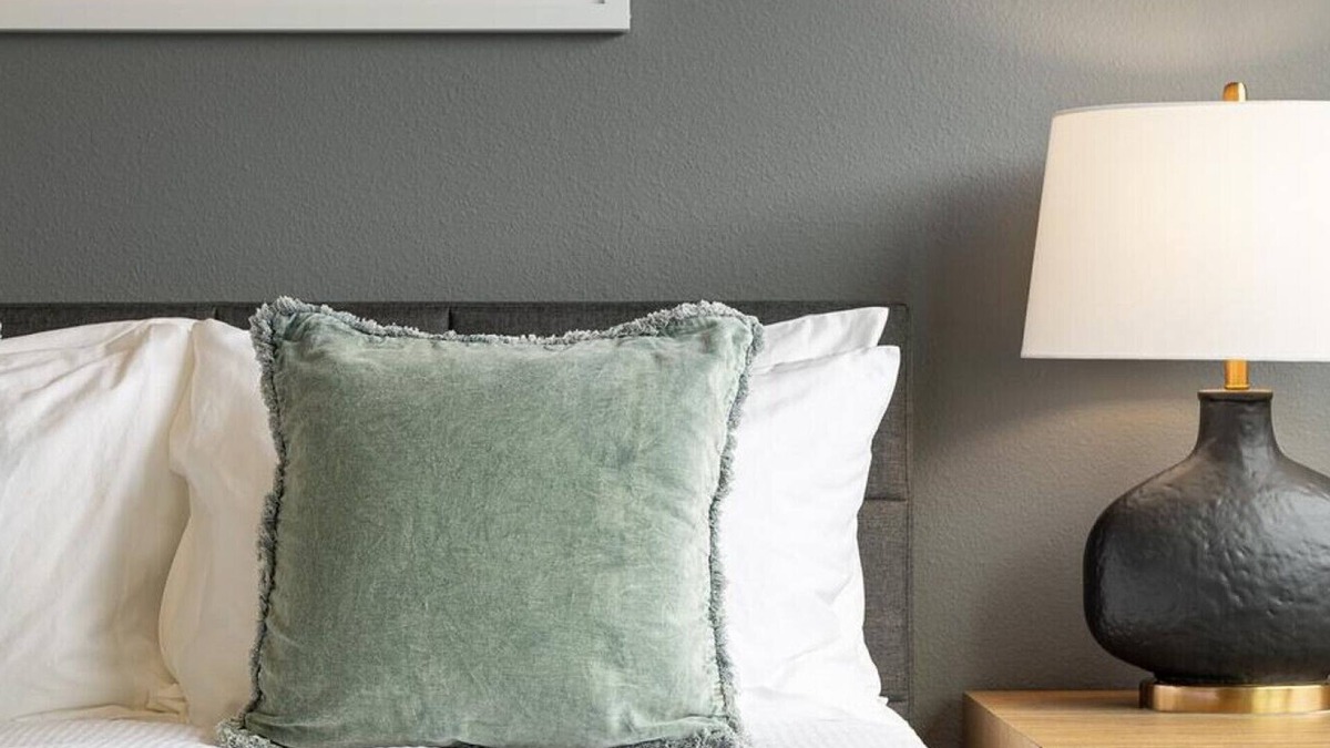 Paw Creek Apartment | Landing at Highland Park at Northlake - 1 Bedroom in Wedgewood
