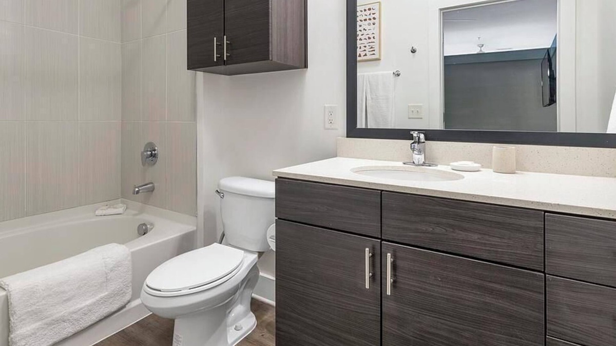 NoDa Apartment | Landing at Mercury NoDa - Studio in North Charlotte