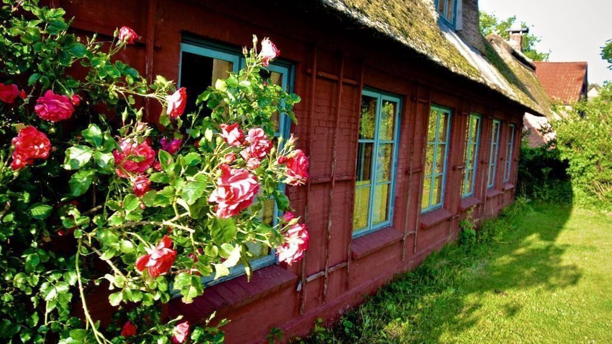 Falshoft Apartment | Landwohnung in Nieby 300m von der Ostsee Entfernt!