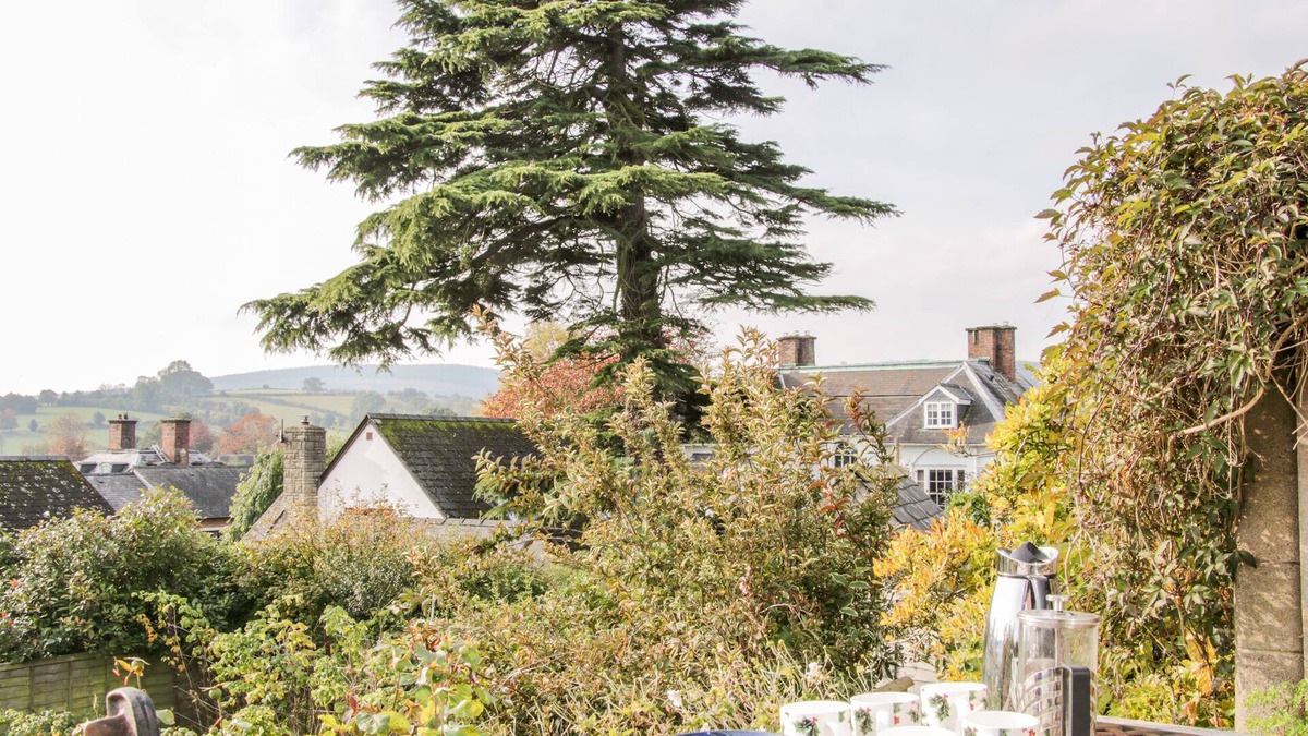 Bishops Castle Cottage | Lane House