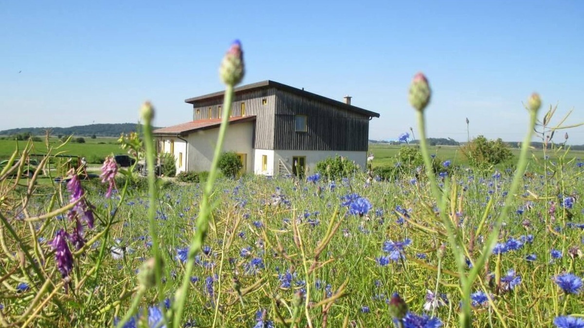 Wolgast Apartment | Large apartment with a view of Usedom and Achterwasser on the nature reserve