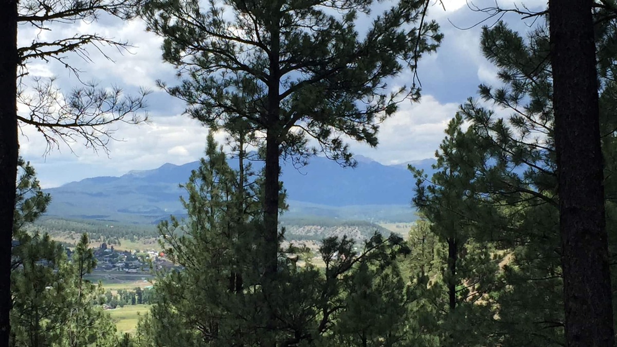 Pagosa Springs House | Large Family Friendly Home In The Trees Close To Attractions!