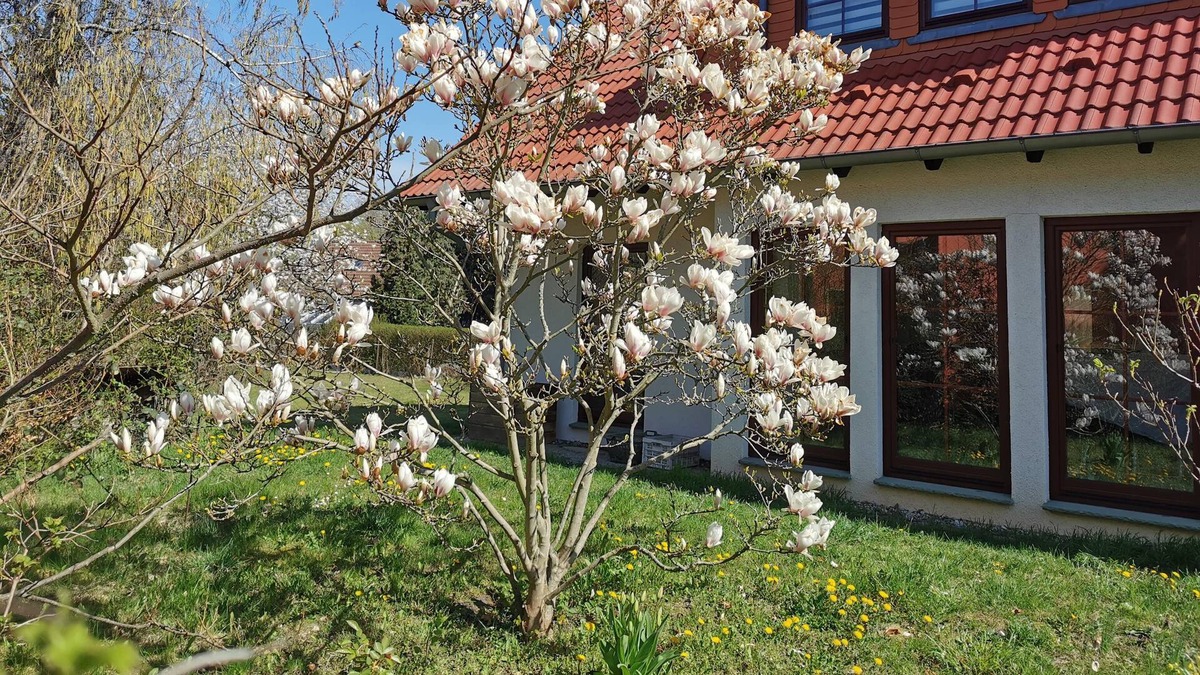 Neuenhagen bei Berlin House | Large house with 5 bedrooms, large garden, S-Bahn connection to Berlin