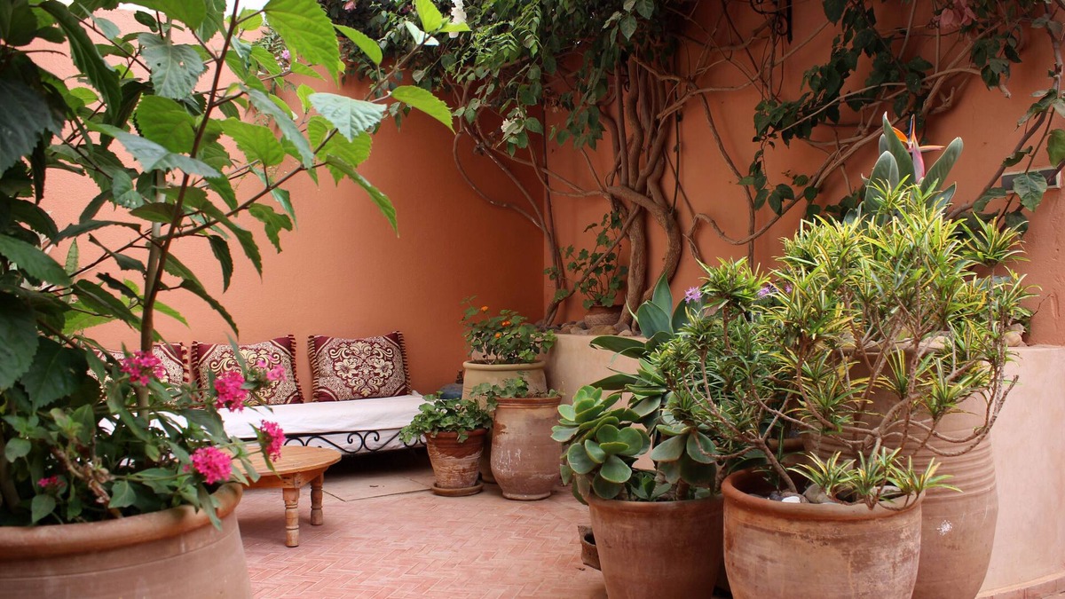 Mirleft House | Large house and beautiful garden in the centre of Mirleft