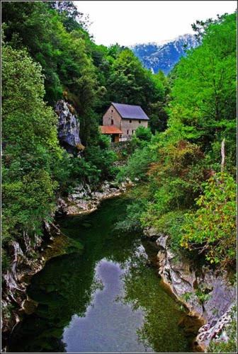 Arenas de Cabrales House | Las Cabraliegas