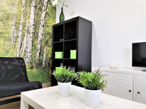 Monte Apartment | Las Casucas 4C