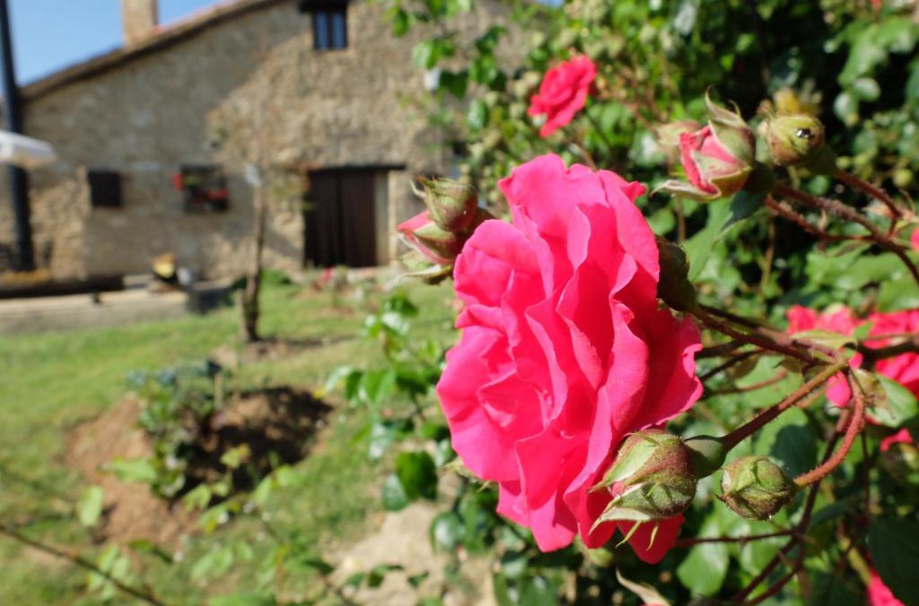 Jabaloyas House | Las Leyendas del Jabal
