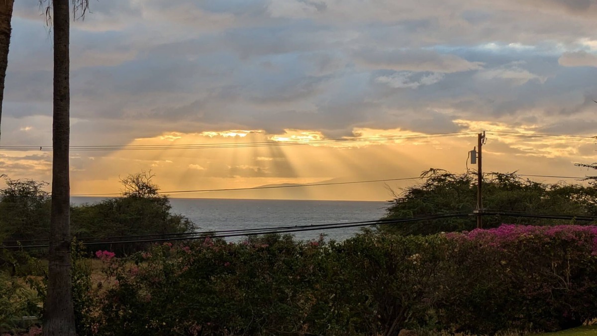 Kihei Condo | Last minute discounts! Stunning ocean sunsets @ Wailea Beaches, foodie kitchen!