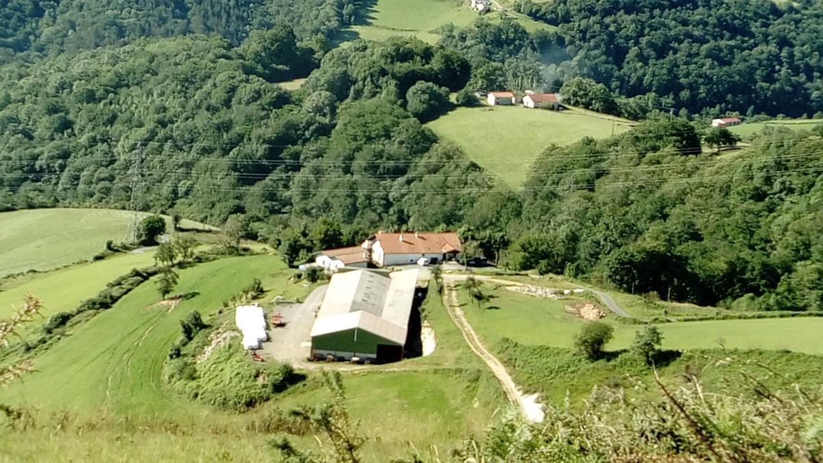 Osses House | lasterenborda cottage in the heart of the farm