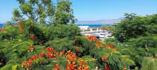 Latchi Villa | Latchi coast villa-resort