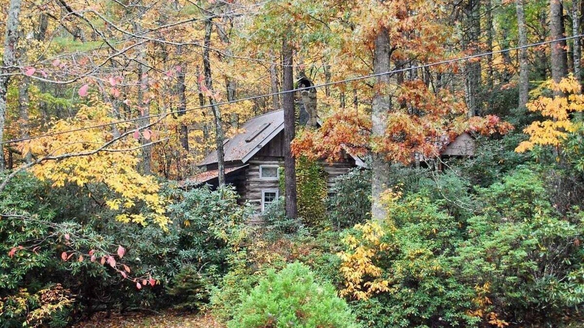 Fleetwood Cabin | Laurel Mtn Cabin - Perfect for a Relaxing Getaway! Hot tub & community river & lake access