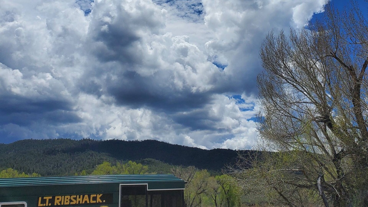 Alamosa Bed & Breakfast | Lavender Trail Ranch