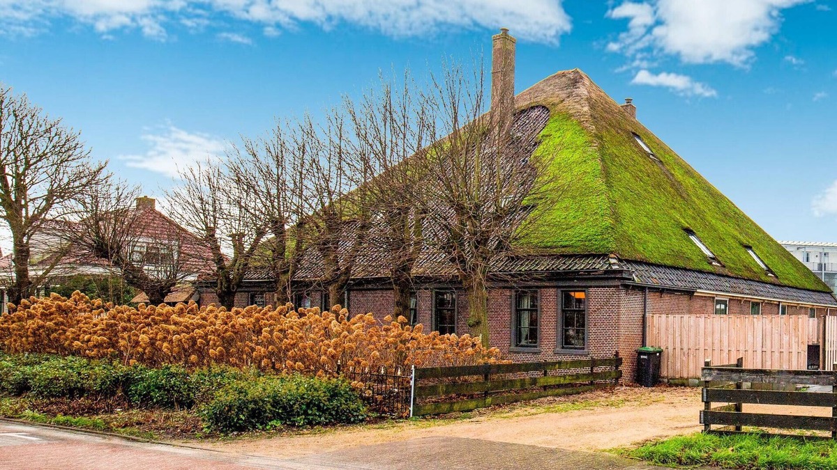 Egmond aan den Hoef Other | Lavish Farmhouse in Egmond aan den Hoef with Sauna