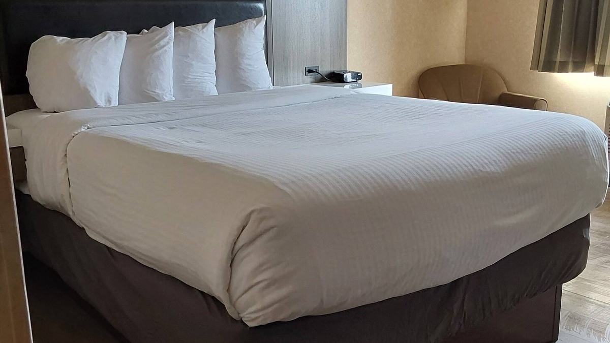 Puget Hotel | Lavissh Inn & Suites