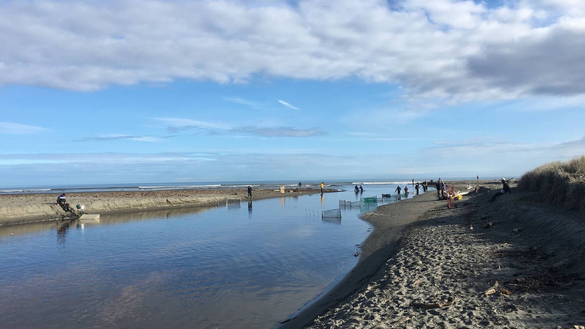 Waikanae House | LAYZDAYZ your home away from home