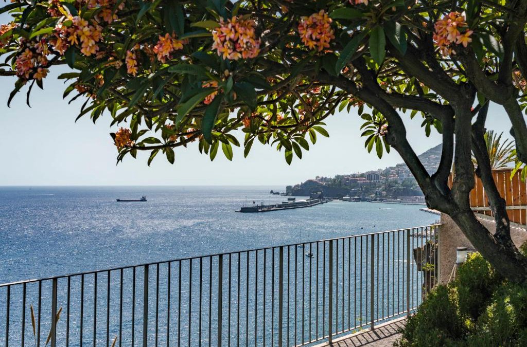 Santa Maria Maior House | Lazareto Mar by An Island Apart