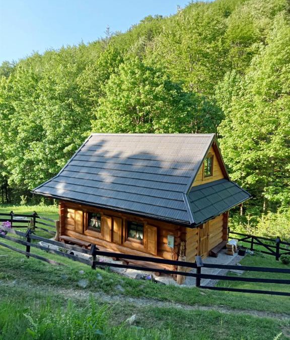 Polany Ski Chalet | Leśna Głusza