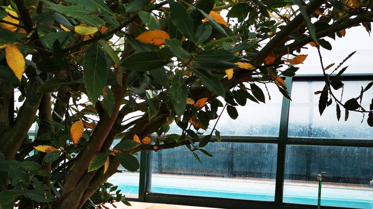 Bois-Jerome-Saint-Ouen Bed & Breakfast | Le Bois aux Cerfs