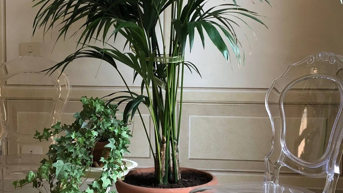 Ravenna House | Le Case di San Vitale