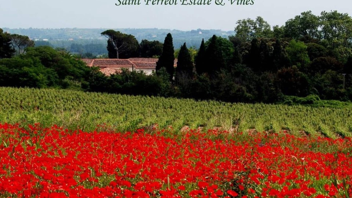 Nizas Villa | Le Caveau spacious vintage vineyard villa at DOMAINE SAINT FERREOL