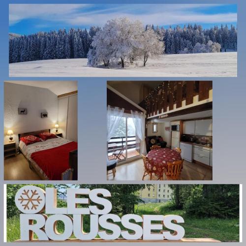 Les Rousses Apartment | LE CHALET DES SAPINS, Superbe Duplex avec belle vue, Au Coeur Des Rousses, Tout confort 5 pers, Draps inclus, parking gratuit