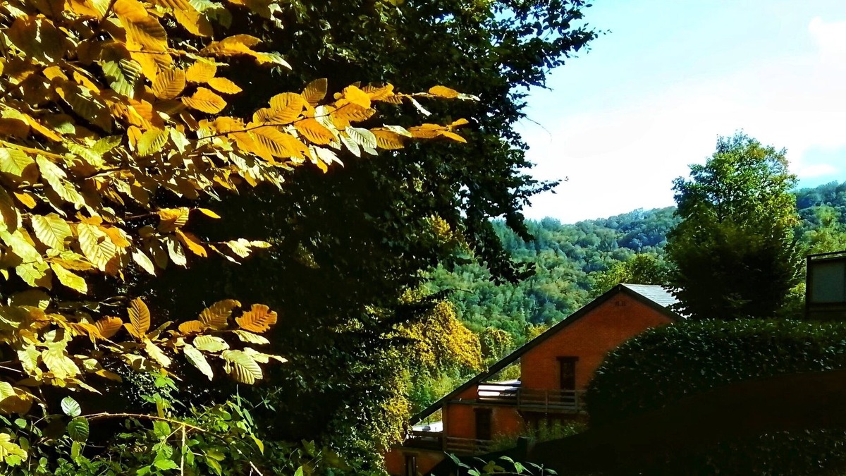 Membre Apartment | Le Charme Ardennais au Cœur des Montagnes