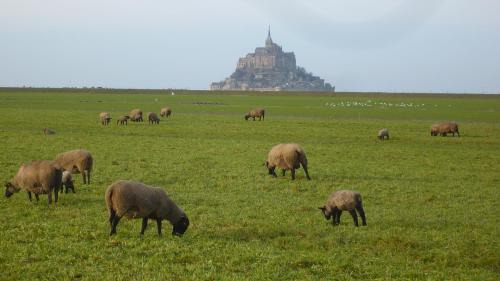 Ceaux House | Le Clos Doux