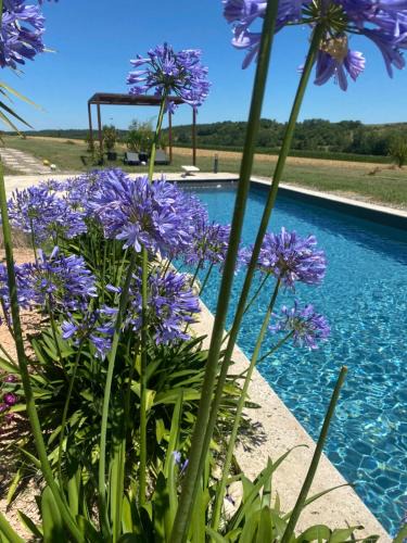 Clermont-Pouyguilles Villa | Le clos du Broca