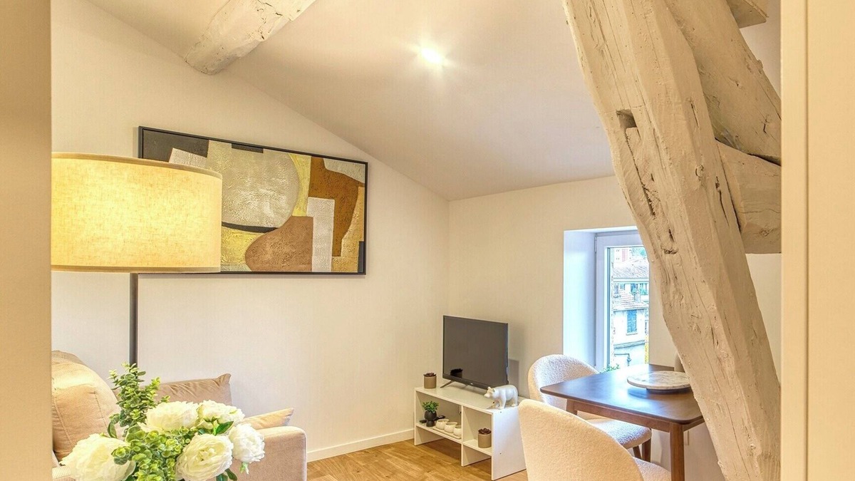 5th Arrondissement Apartment | Le Cocon - Appart climatisé - cœur de Lyon 5ème