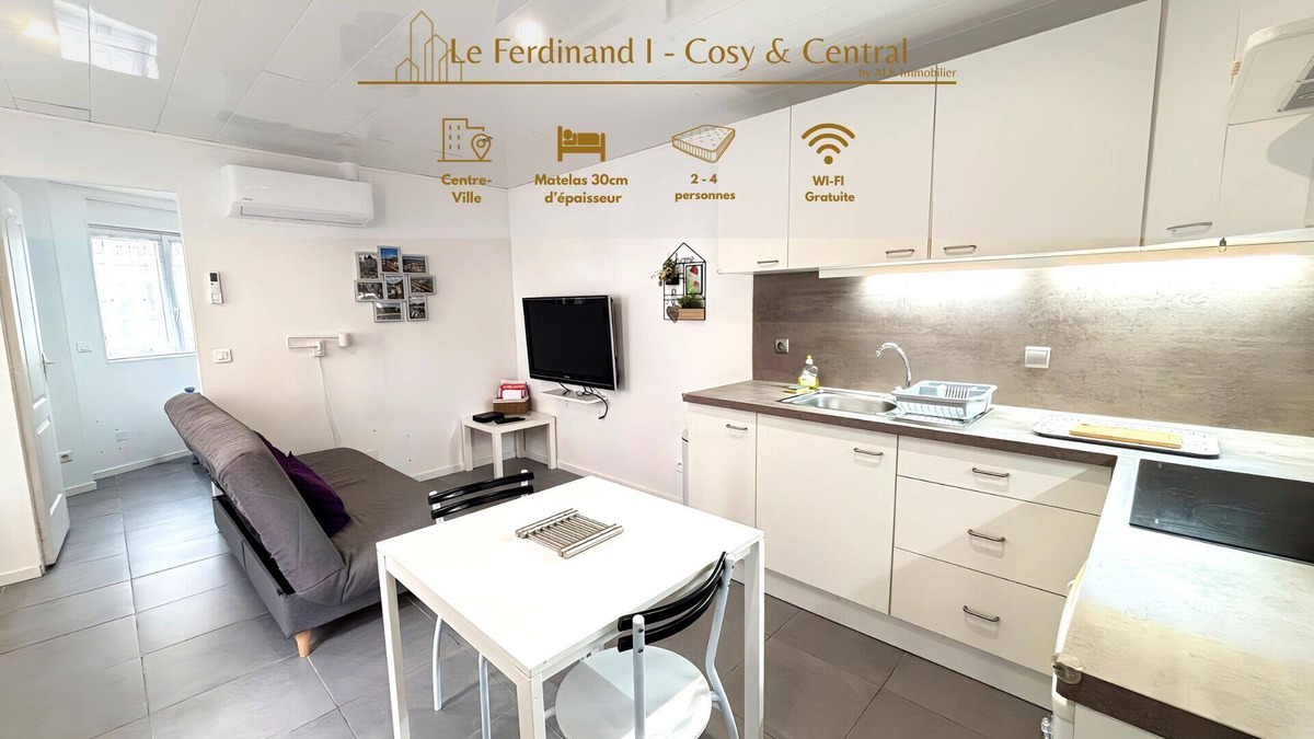 Roanne Apartment | Le Ferdinand I - Cosy and Central