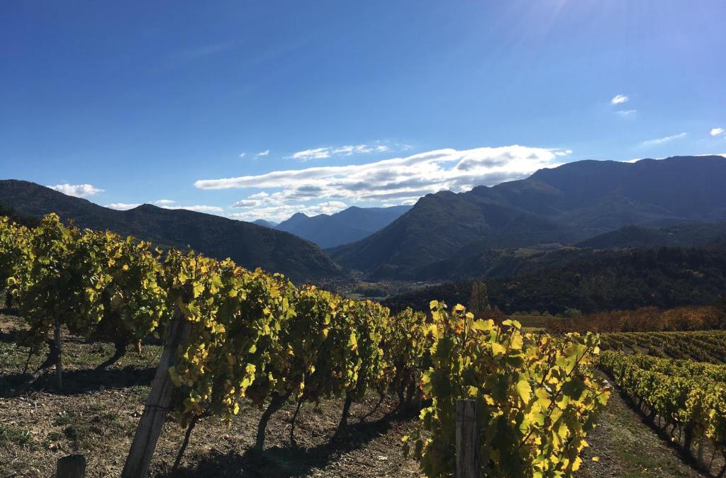 Die House | Le gîte de Valérie côté jardin
