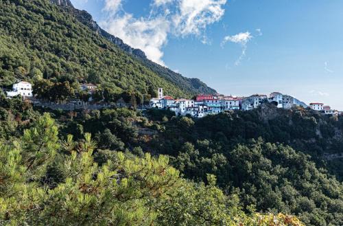 Revest-les-Roches Apartment | le gite du vial