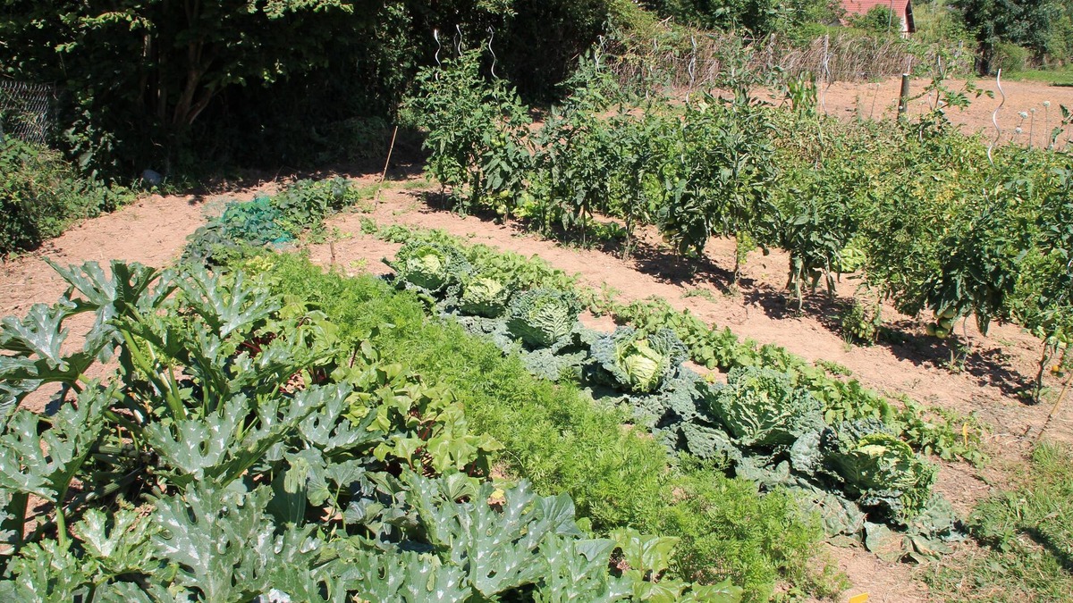 Mesnil-Follemprise House | Le Haut Mesnil - 8