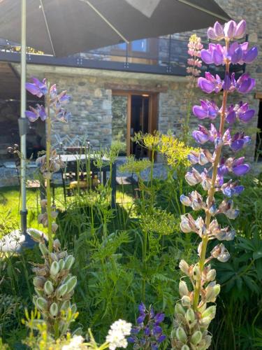 Superbolquere Apartment | LE LODGE, Pyrénées 2000 - Jardin, très calme, espace rangement