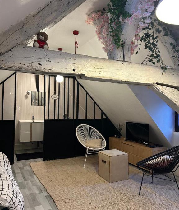Besancon Old Town Apartment | LE LOFT DU DOUBS