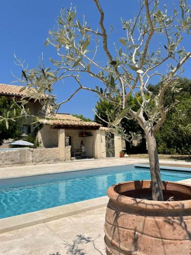 Taulignan Bed & Breakfast | Le mas de Marie