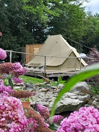Saint-Germain-des-Champs Other | Le monde d'Echozellia - Tente M
