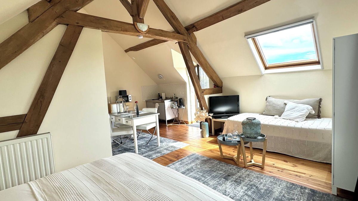 Orbigny Apartment | Le Moulin d'Olivet - 10min from Beauval zoo, in the heart of the Loire castles