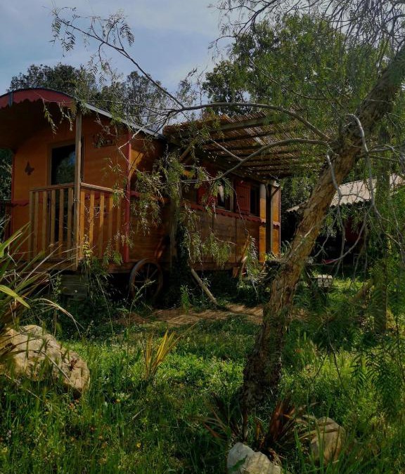 Vallecalle Ski Chalet | Le nid des crinières vagabondes