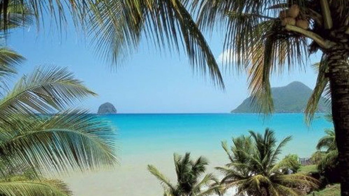 Riviere-Pilote Apartment | Le Paradis de l'Anse