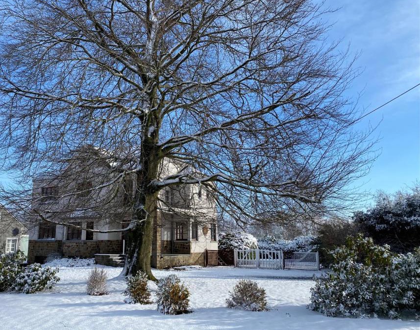 Hulsonniaux House | Le pas du loup