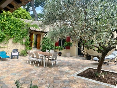 Cadereau House | Le patio de Montaury