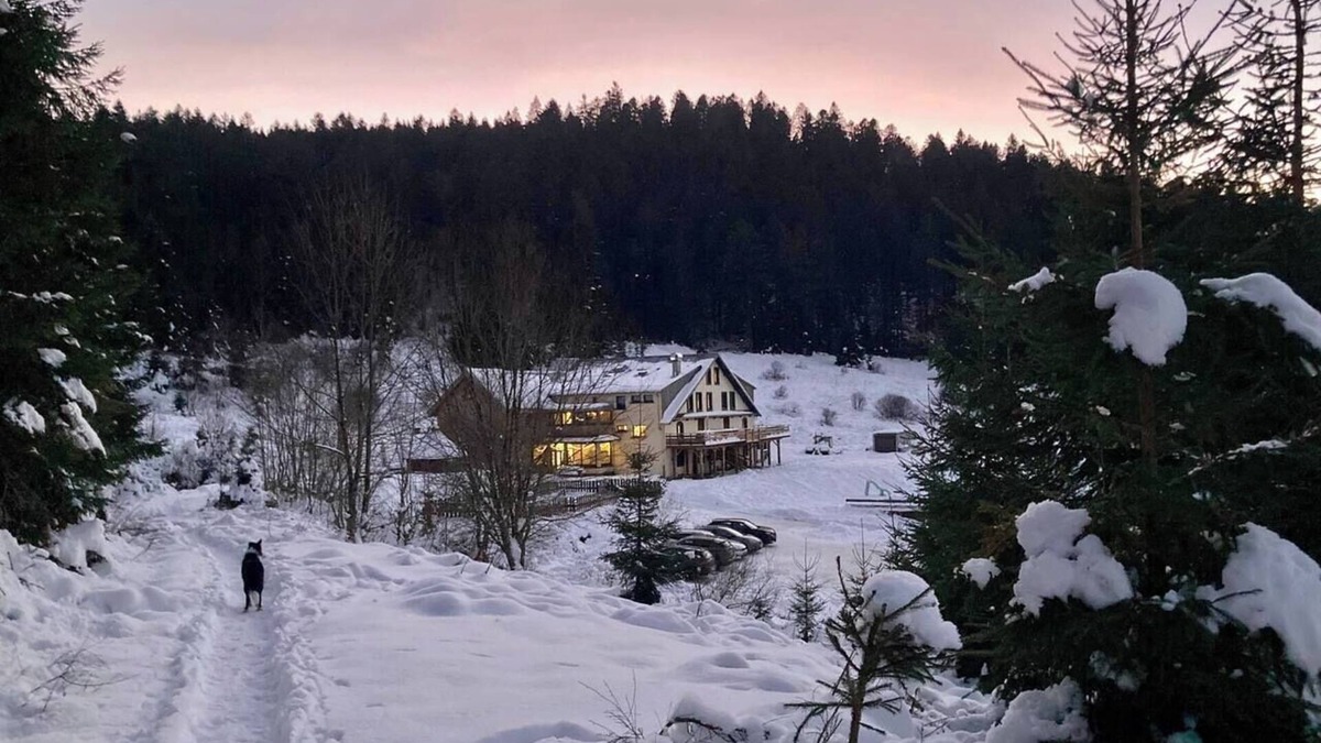 Ban-sur-Meurthe-Clefcy Apartment | Le Perchoir 9 people, Grand Valtin, full nature