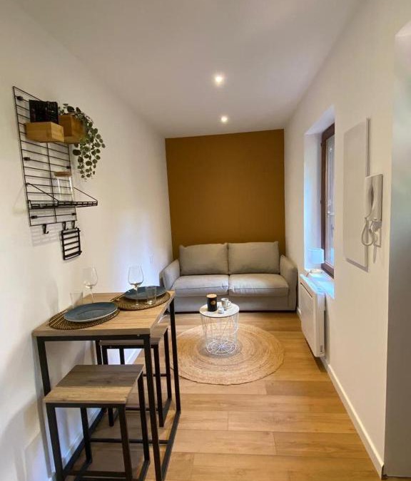 Le Busca Apartment | Le Pti toulousain 23 Studio Centre