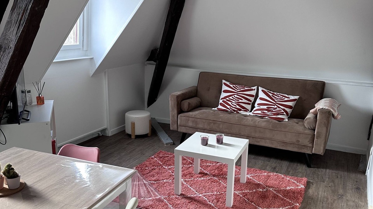 Auxerre Apartment | Le Saint Eusèbe