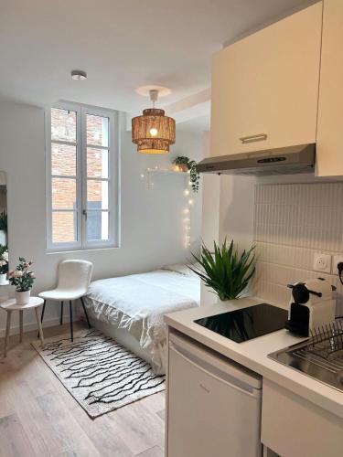 Toulouse City-Centre Apartment | Le Saphir