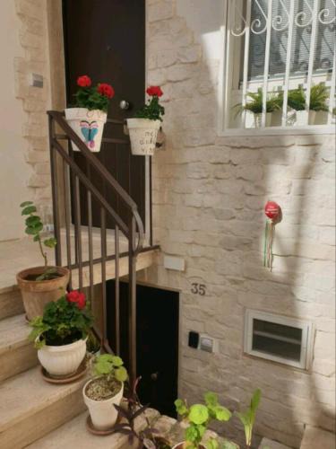 Sannicandro di Bari House | Le segrete
